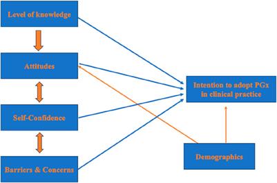 Do future healthcare professionals advocate for pharmacogenomics? A study on medical and health sciences undergraduate students